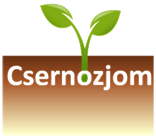 Csernozjom